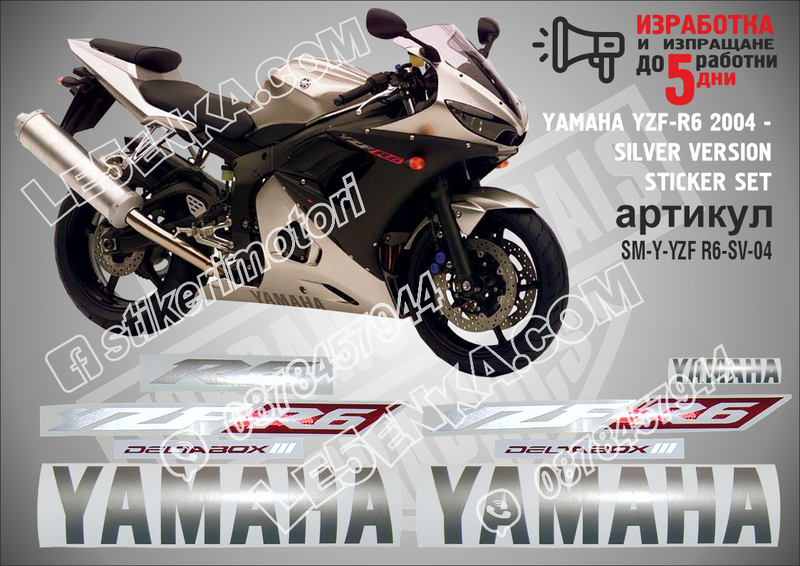 Yamaha Yzf-r6 - 2004 Silver Version