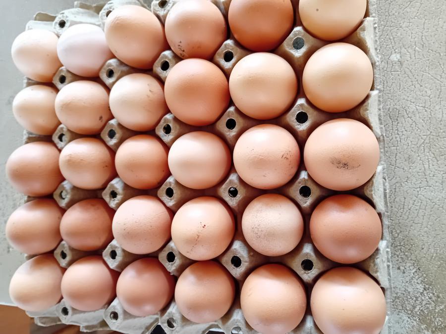 Продавам Домашни Яйца