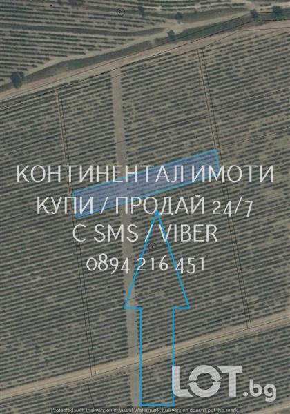 Код 70060. Лозе 1500м2, лесен достъп от винения комплекс Загрей, набли