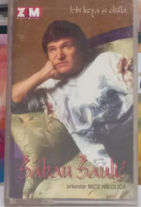 Saban Saulic - Tebi, koja si otisla