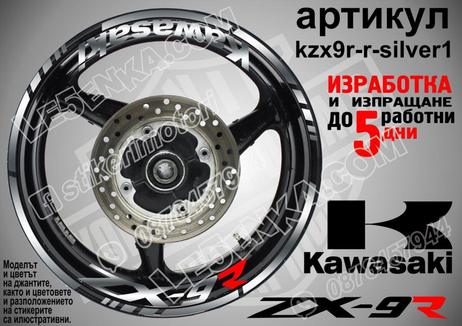 Kawasaki Zx-9r Silver