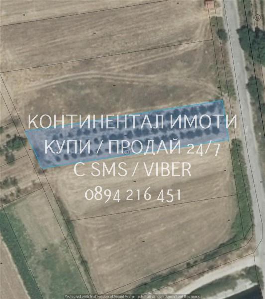 кодг 63100. Нива 1320м2, кат. 5-ма, сега засята с овошки. с лице 17м н..
