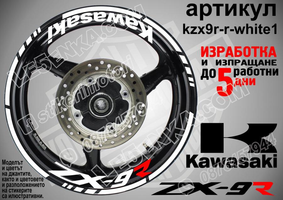 Kawasaki Zx-9r White