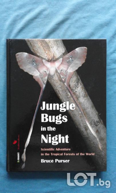 Промоция  -  Bruce Purser  -  Jungle Bugs in the Night