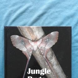 Промоция  -  Bruce Purser  -  Jungle Bugs in the Night