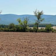 Купувам Земеделска Земя всички землища в Община Радомир