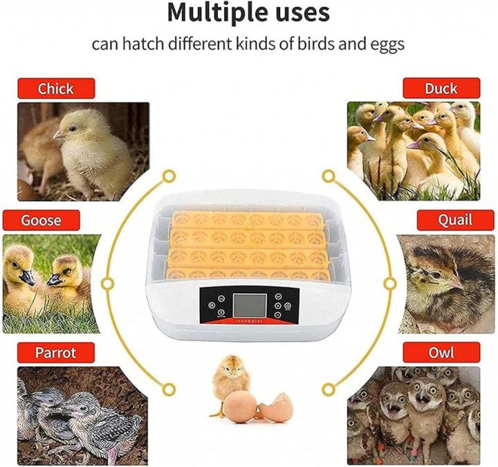 Инкубатор за яйца - 42 яйца с LED дисплей и автоматичен контрол
