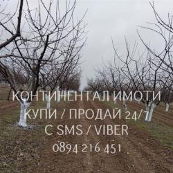 Код 63137. Овощна градина-череши 6000м2. по пътя за село Първенец на 1..