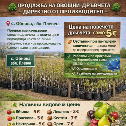 Предлагам качествени овощни дръвчета