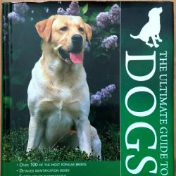 Най-доброто ръководство за над 100 от най-популярните породи кучета