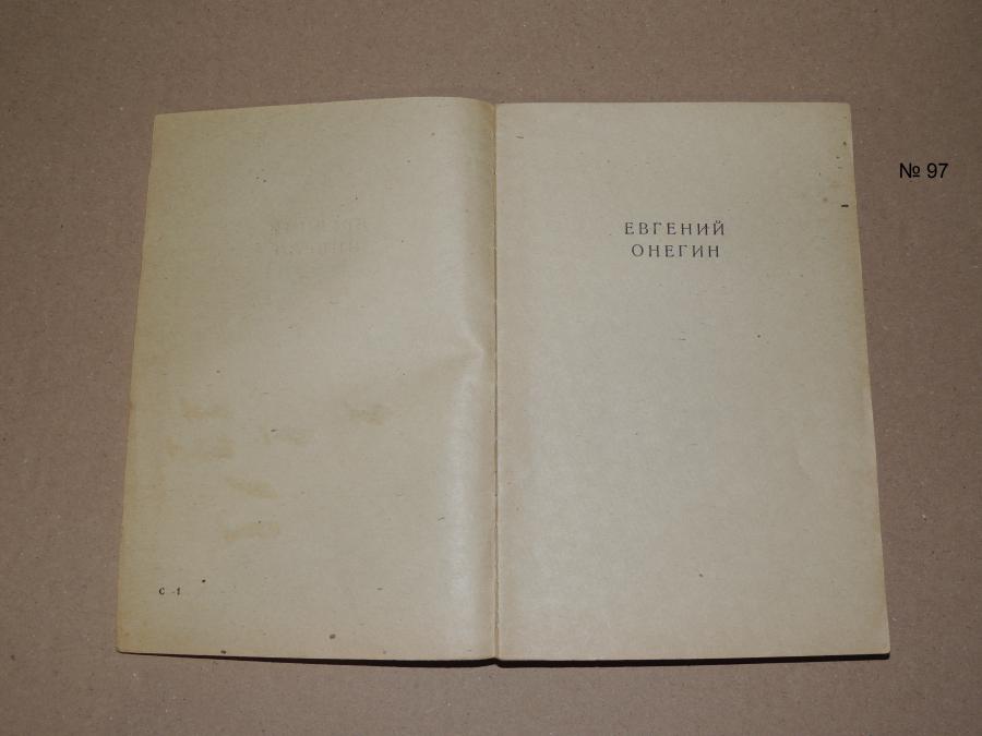 Евгений Онегин - роман в стихове
