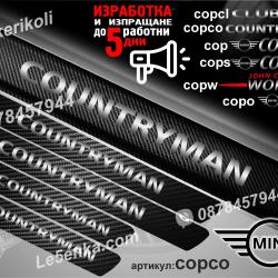 Mini Countryman прагове от карбон