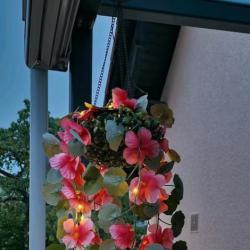 Соларна висяща саксия с LED осветление Living & Garden  60 Led, топло