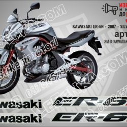 Kawasaki Er-6n - 2007 - Silver Version