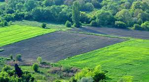 Купувам Земеделска Земя всички землища в Община Тополовград