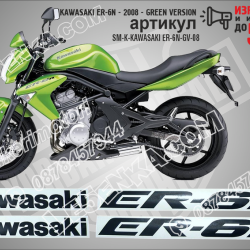Kawasaki Er-6n - 2008 - Green Version