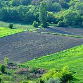 Купувам Земеделска Земя всички землища област Стара Загора