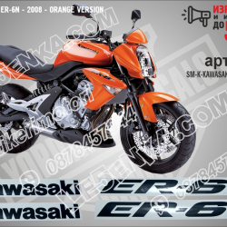 Kawasaki Er-6n - 2008 - Orange Version