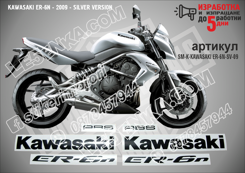 Kawasaki Er-6n - 2009 - Silver Version