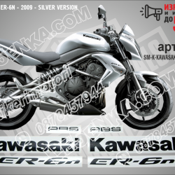 Kawasaki Er-6n - 2009 - Silver Version