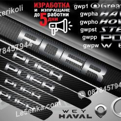 GWM Poer прагове от карбон