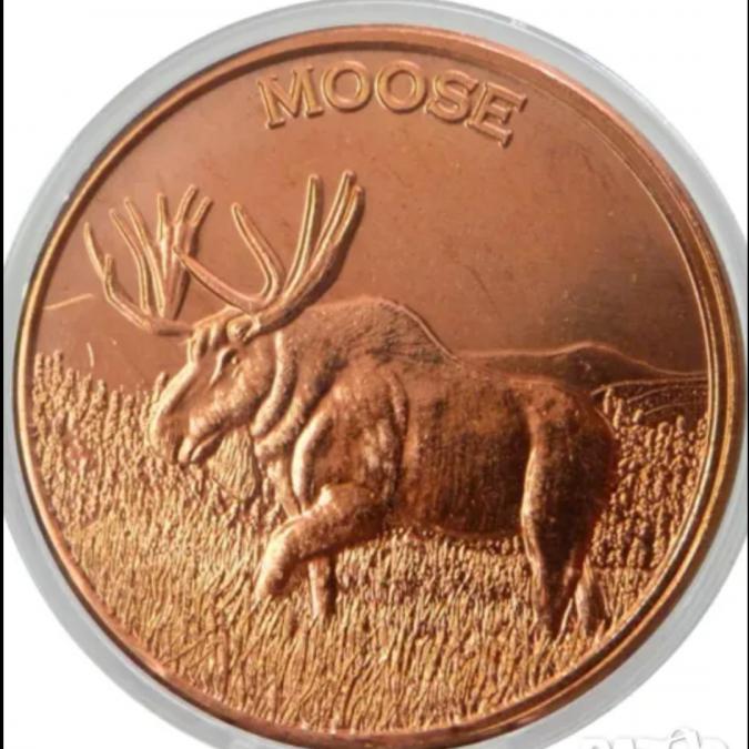 1 oz copper bar 99.9 % чисто медно кръгло кюлче Moose