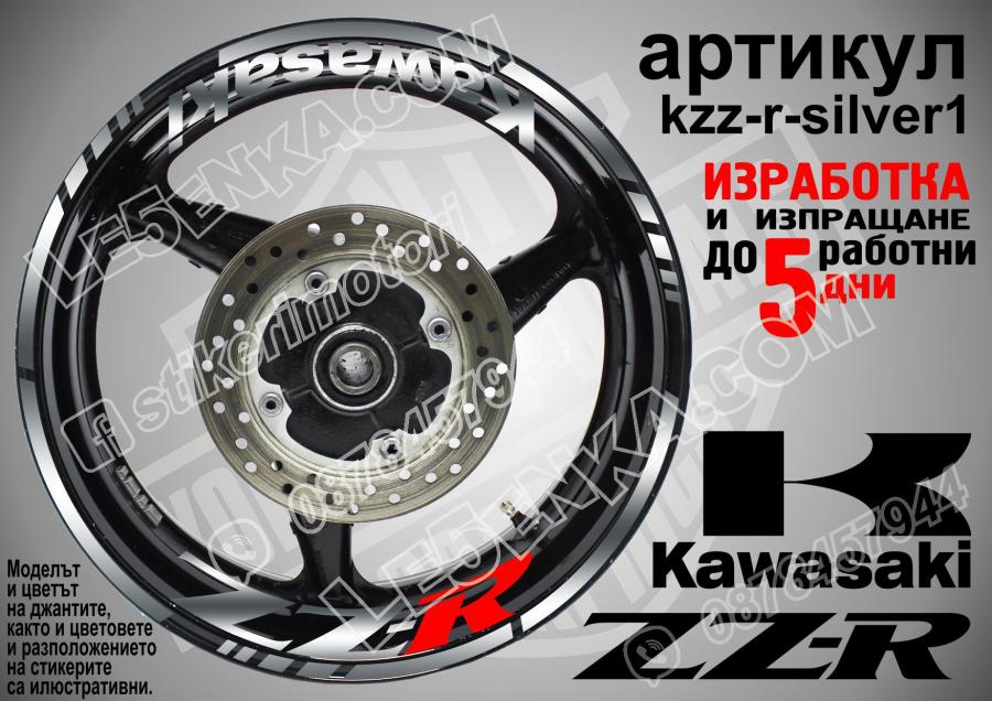 Kawasaki ZZR Silver