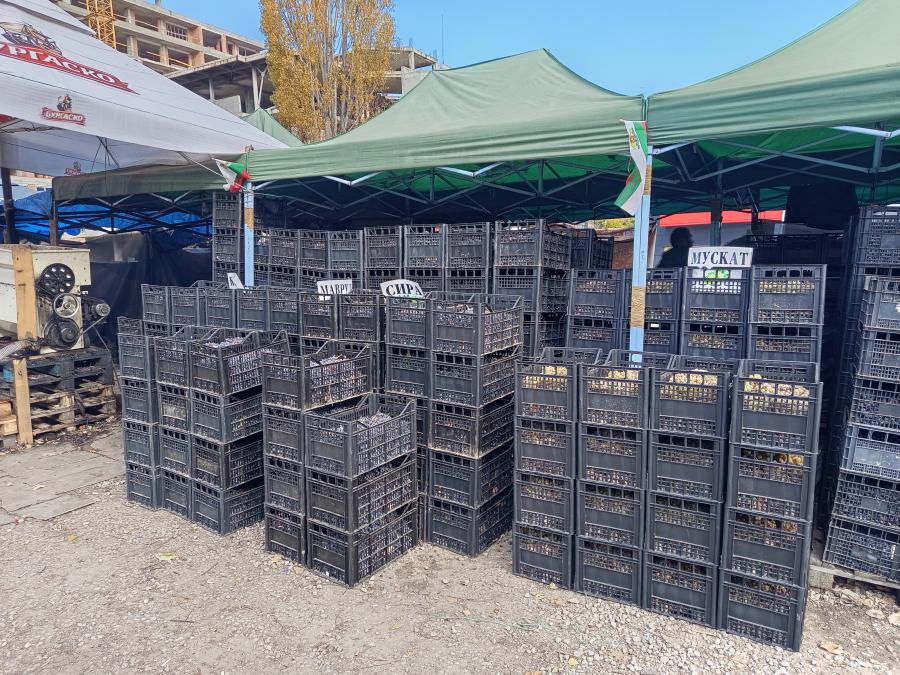 Грозде собствено производство Безплатна доставка за София и околностит..