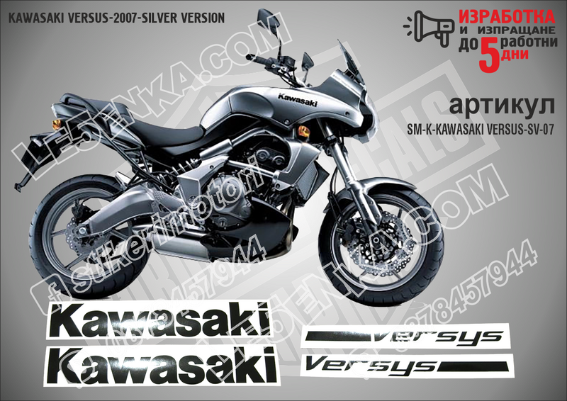 Kawasaki Versys- 2007 - Silver Version