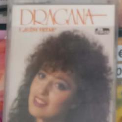 Dragana Mirkovic - Najlepsi par