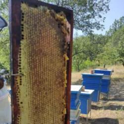 Здравейте продавам 100% чист био мед