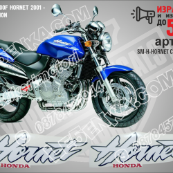 Honda Cb600f Hornet 2001 - Blue Version