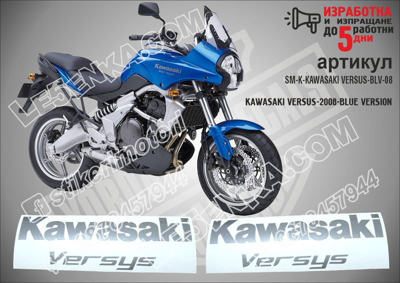 Kawasaki Versys - 2008 - Blue Version