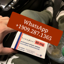 Longtec for sale