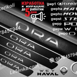 GWM Ora прагове от карбон