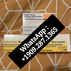 shortec 20mg for sale