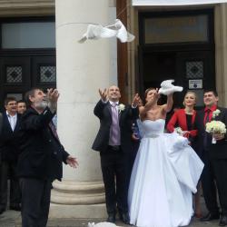 Бели гълъби за вашата сватба или празник