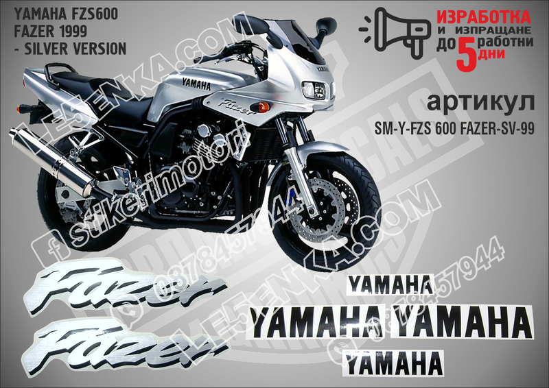 Yamaha Fzs600 Fazer 1999 - Silver Version