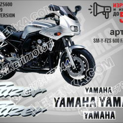 Yamaha Fzs600 Fazer 1999 - Silver Version