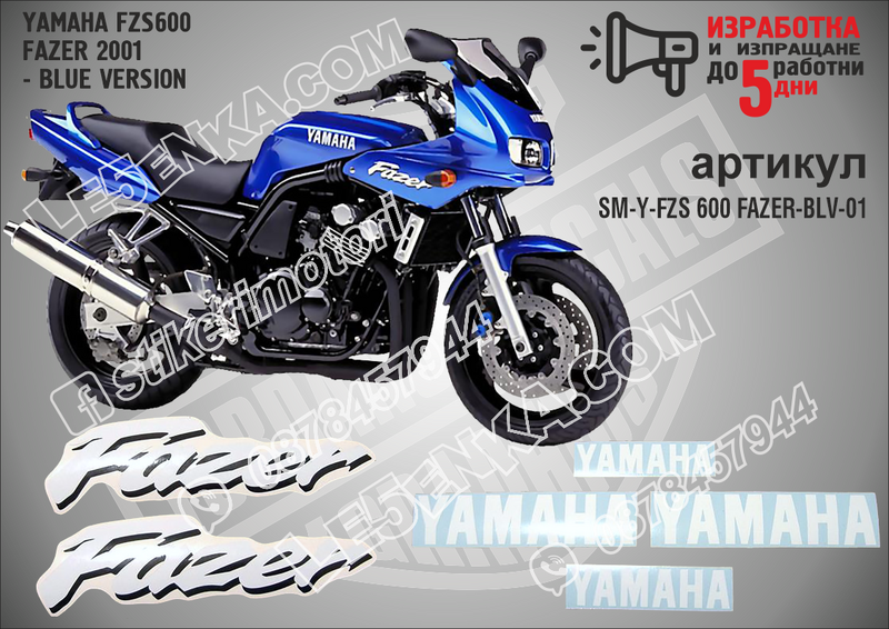 Yamaha Fzs600 Fazer 2001 - Blue Version