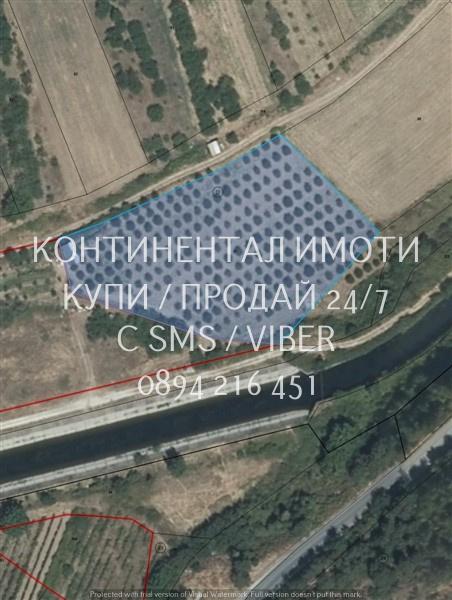 кодл 63086. Черешова градина 4400м2 в отлично състояние, с ограда - ле