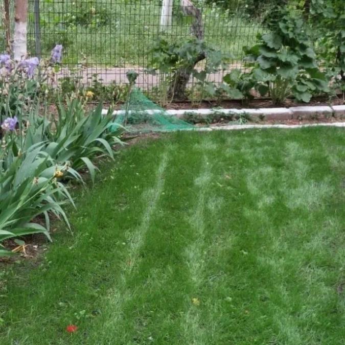 Подложка с тревни семена, биоразградима текстилна подложка, подрязваща