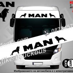 Сенник MAN Bus White
