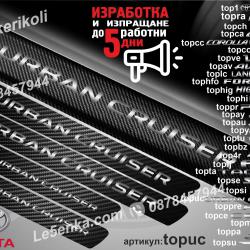 Toyota Urban Cruiser прагове от карбон