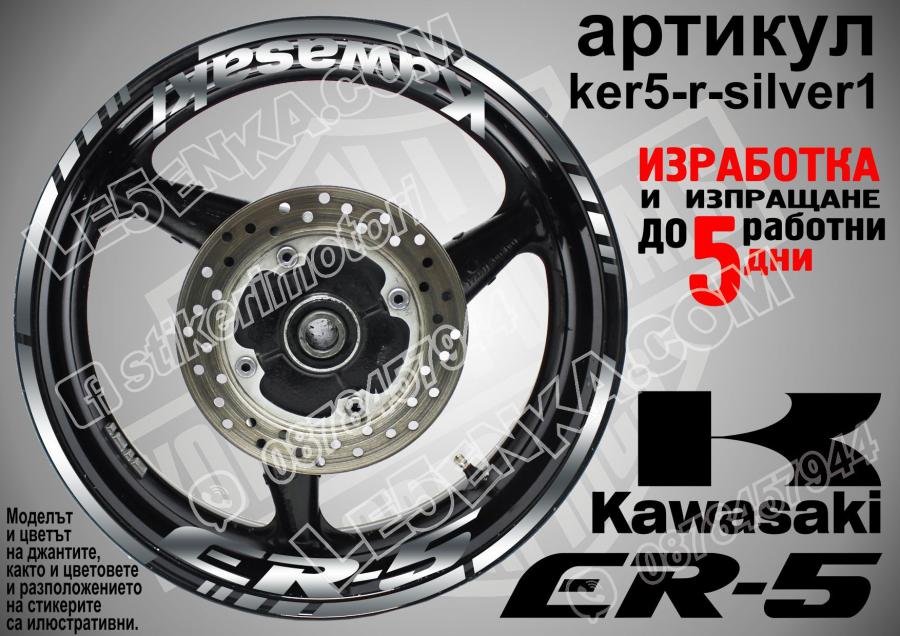 Kawasaki Er-5 Silver