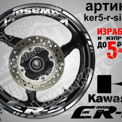 Kawasaki Er-5 Silver