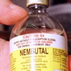 Купете Nembutal, Pentobarbital Sodium 15 г, 50 таблетки, 250 мл онла