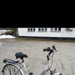 Градски дамски велосипед