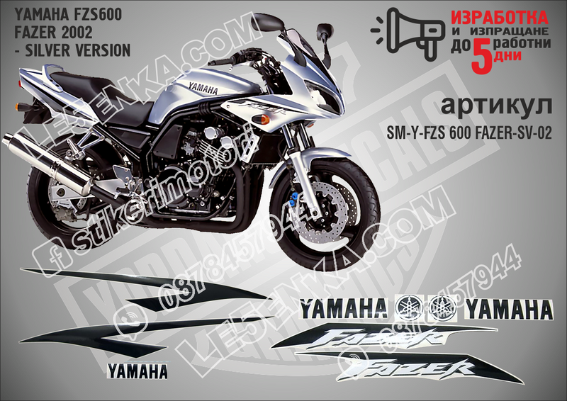 Yamaha Fzs600 Fazer 2002 - Silver Version