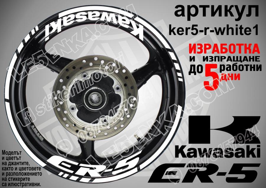 Kawasaki Er-5 White